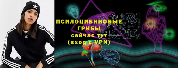 спиды Бугульма